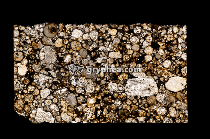 Météorite (Chondrite LL3) LPNA x1,5 - gryphea.com